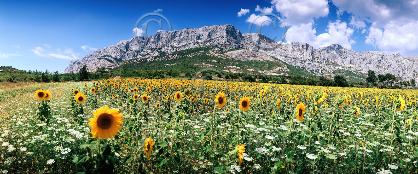 la sainte victoire