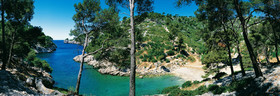 POUR VALENCE,  PORT PIN EN 150 x 52 cm