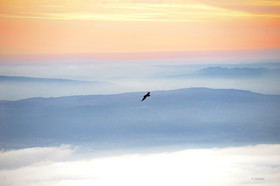 MISE A  JOUR  en cours