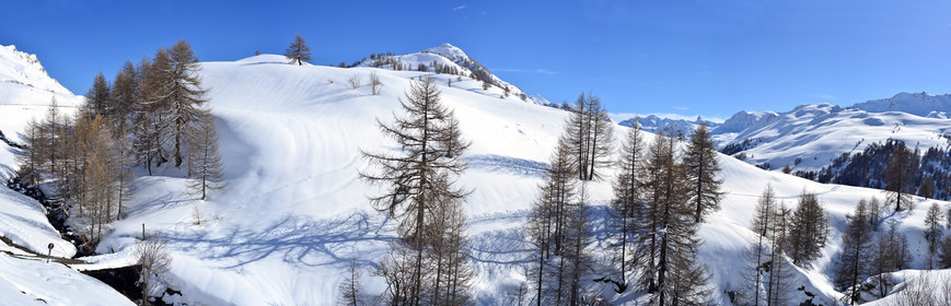 montagne haute alpes ,queyras, mercantour,alpes de haute provence,alpes maritime