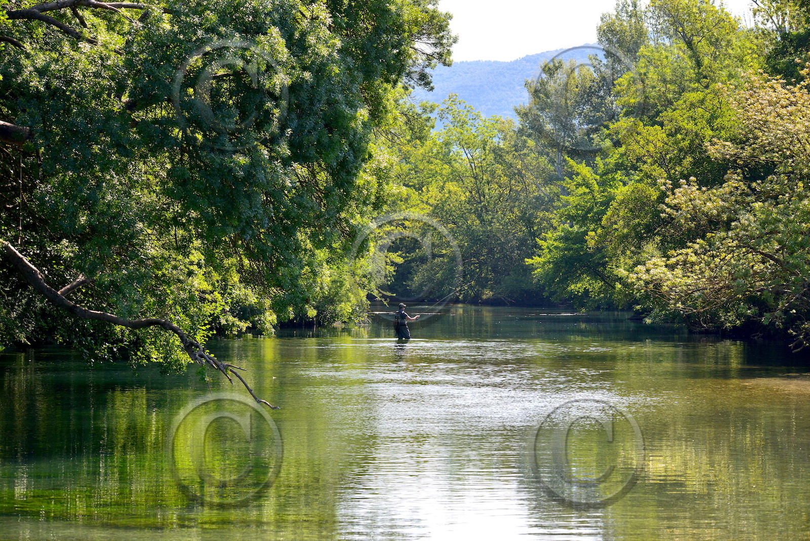 et-au-milieux-coule-la-sorgue.jpg