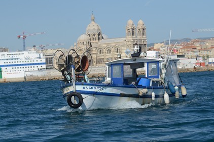voile-vp-2012-2462.jpg