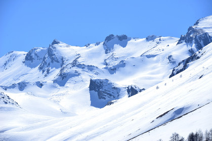 haute-alpes-de-provence-bouquetin-447.jpg