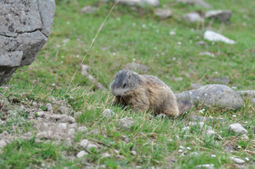 MISE A  JOUR  en cours