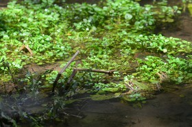 Photo de la sainte baume