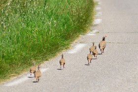 MISE A  JOUR  en cours