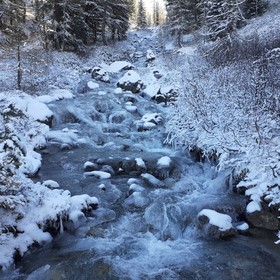 moins 14° debut novembre