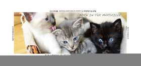 COLLECTION MAGNETIQUE&nbsp;MAGNET MARSEILLE et CALANQUE ,PROVENCE&nbsp; ........