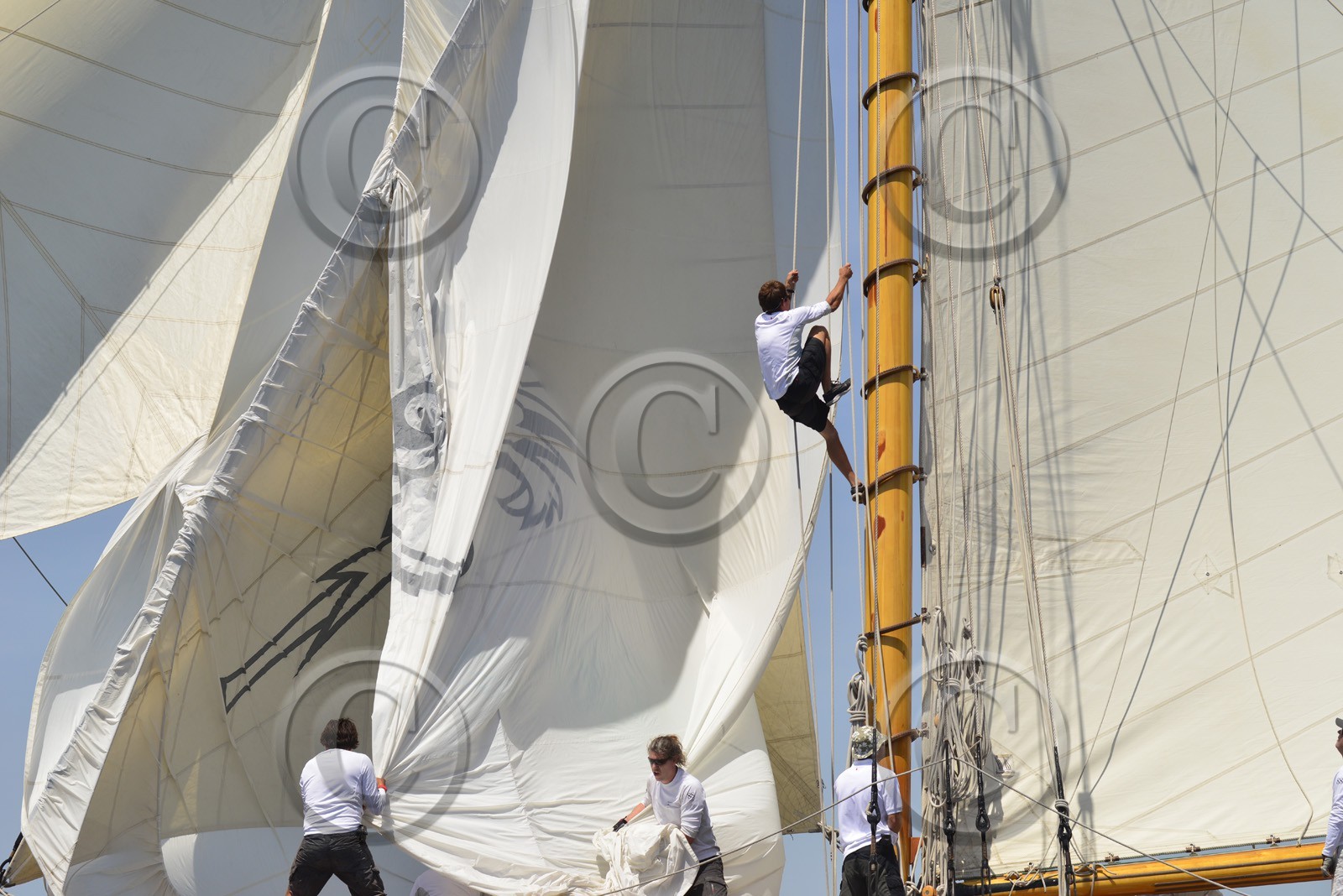 voilles-du-vieux-port-2014-0975.jpg