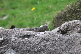 MISE A  JOUR  en cours