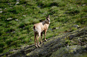 MISE A  JOUR  en cours