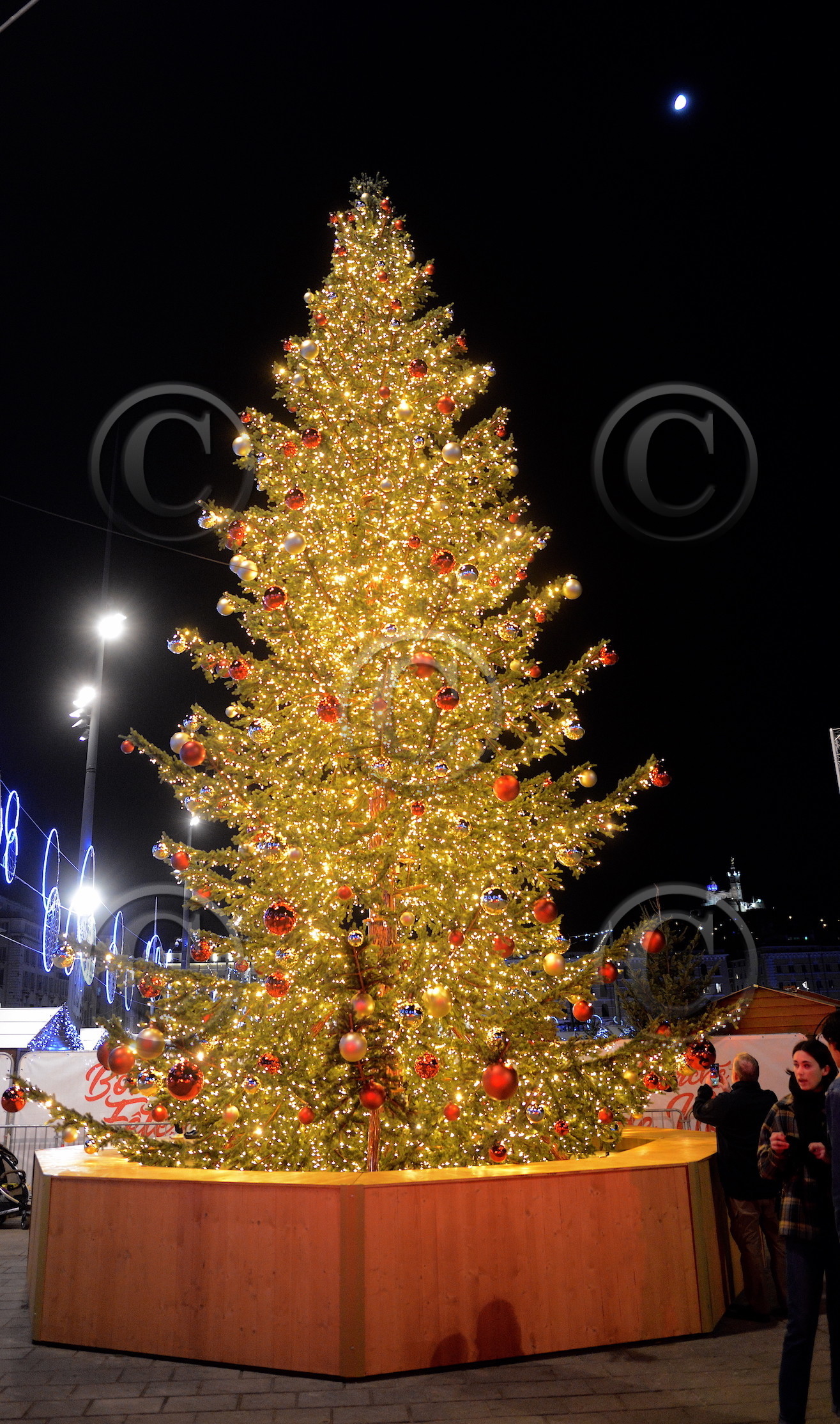 nov_9663-copie.jpg