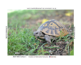 COLLECTION MAGNETIQUE&nbsp;MAGNET MARSEILLE et CALANQUE ,PROVENCE&nbsp; ........