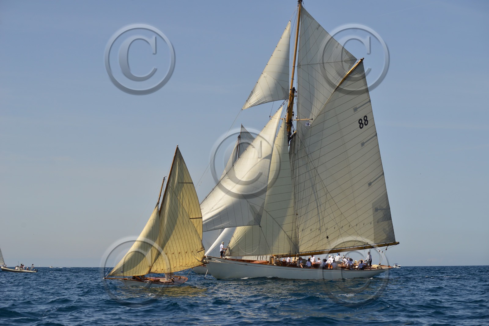voilles-du-vieux-port-2014-0586.jpg