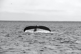 MISE A  JOUR  en cours