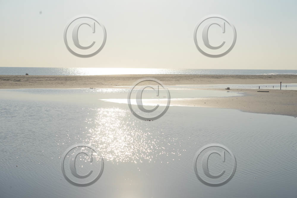 aab_9115-copie.jpg