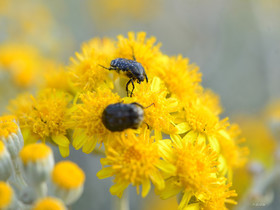 MISE A  JOUR  en cours