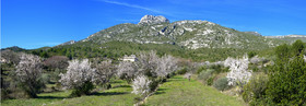 Photo de la sainte baume