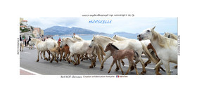 COLLECTION MAGNETIQUE&nbsp;MAGNET MARSEILLE et CALANQUE ,PROVENCE&nbsp; ........