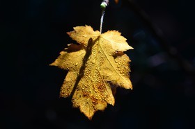 Photo de la sainte baume