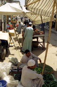 marche-2.jpg