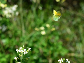 MISE A  JOUR  en cours