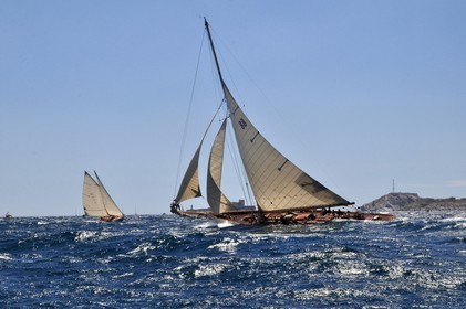 voille-et-if-dsc_0845.jpg