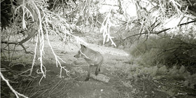 MISE A  JOUR  en cours