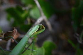 MISE A  JOUR  en cours