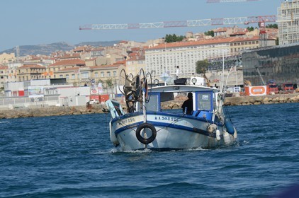 voile-vp-2012-2461.jpg