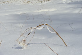ALPES DE HAUTE PROVENCE