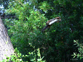 MISE A  JOUR  en cours