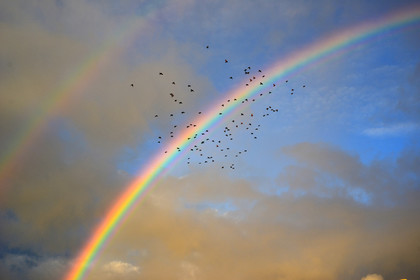 arc-en-ciel-goudes-tiboulen-088-copie.jpg