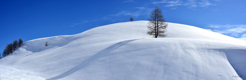 montagne haute alpes ,queyras, mercantour,alpes de haute provence,alpes maritime