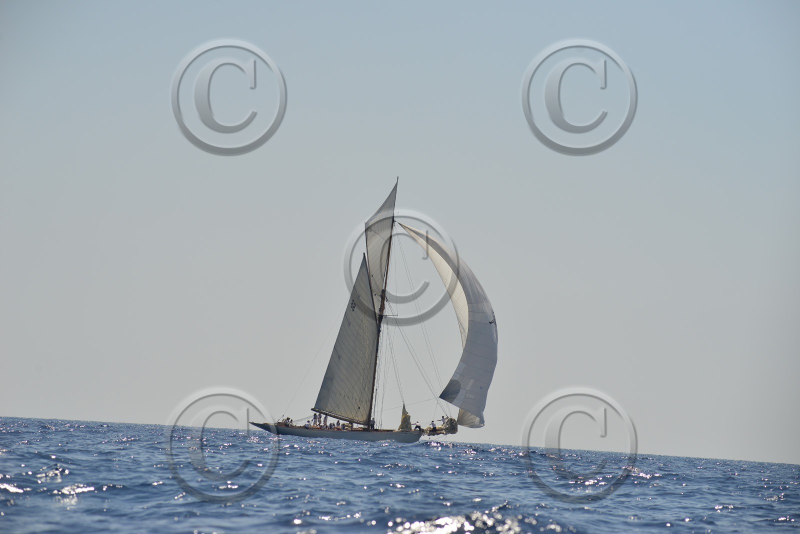 voilles-du-vieux-port-2014-2-0299.jpg