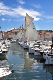 voille-dsc_0655.jpg