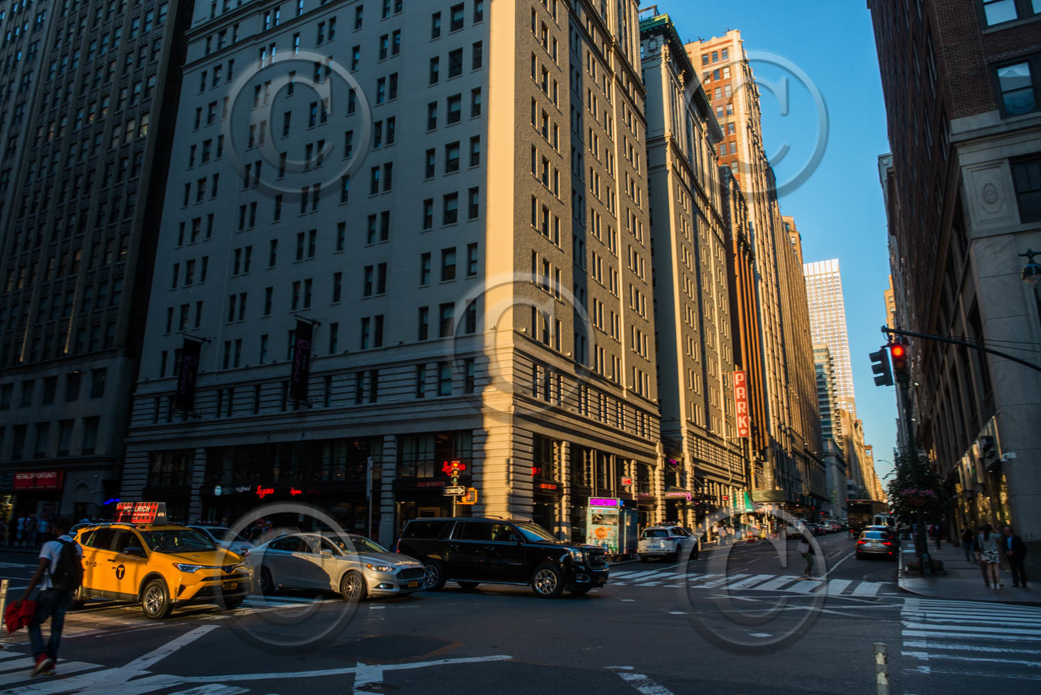 new york 2019