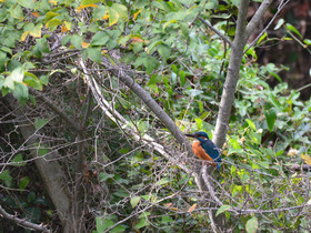 MISE A  JOUR  en cours