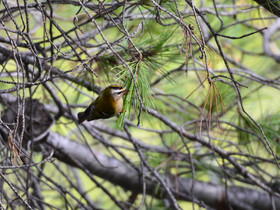 MISE A  JOUR  en cours