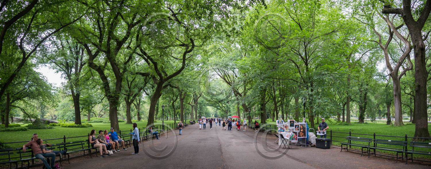 new york 2019