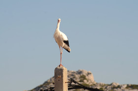 MISE A  JOUR  en cours