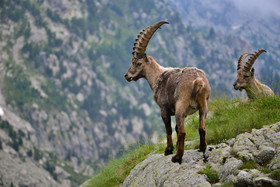 MISE A  JOUR  en cours