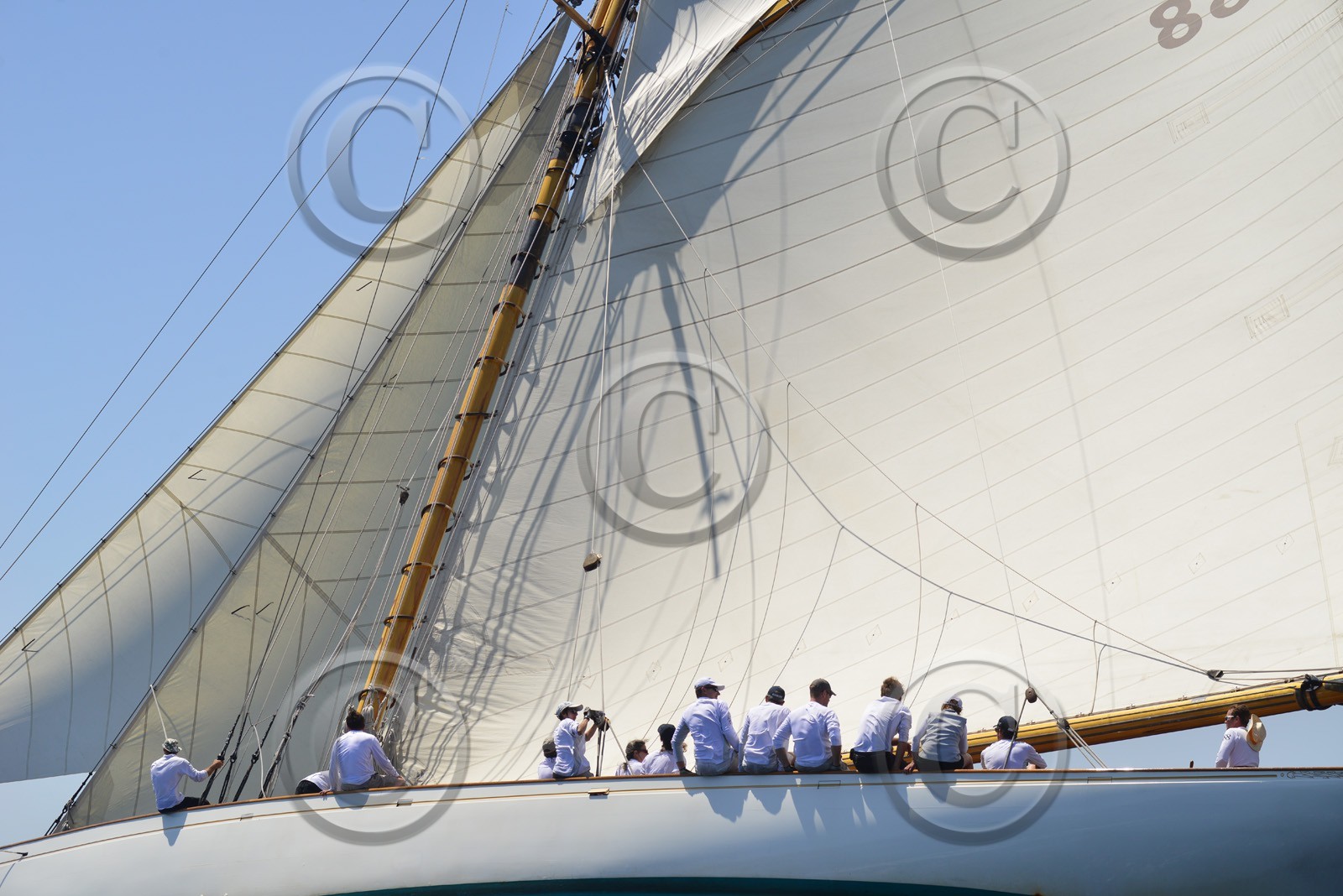 voilles-du-vieux-port-2014-2-0222.jpg