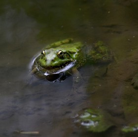 MISE A  JOUR  en cours