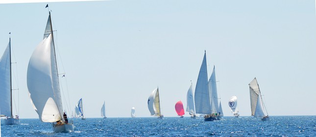 2012-voiledsc_0372.jpg
