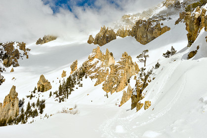 fev_0741-copie.jpg