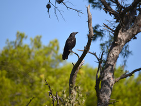 MISE A  JOUR  en cours