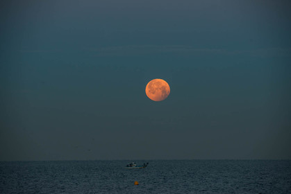 Éclipse lunaire du 21 janvier 2019 dans