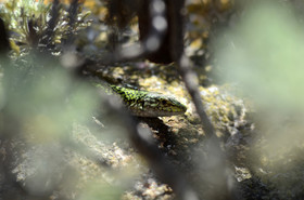 MISE A  JOUR  en cours