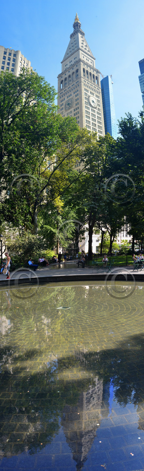 nyc-vert2.jpg